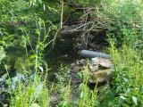 20250611-184039-min.jpg