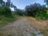 20250611-192339-min.jpg